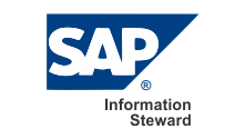 Intellicompute | SAP Information Steward