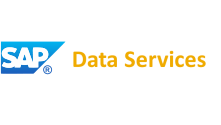Intellicompute | SAP Data Services